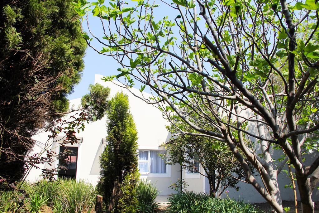 La Coscello Guest House Edenvale Buitenkant foto